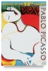 Picasso DVD