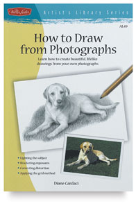 How to Draw from Photographs