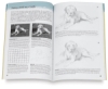 How to Draw from Photographs