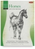 Drawing Horses
