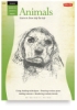 Drawing Animals