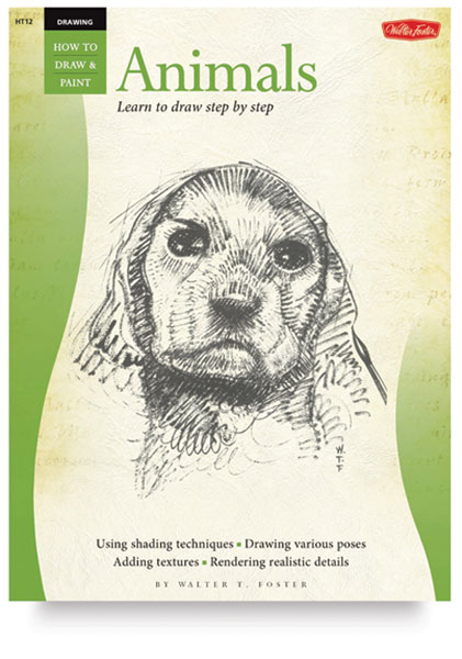 Drawing Animals