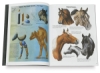 Horses in Oil