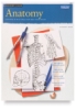 Anatomy