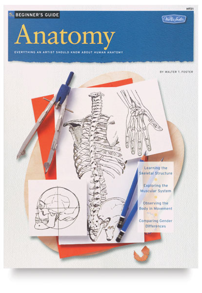 Anatomy