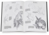 Drawing Pets