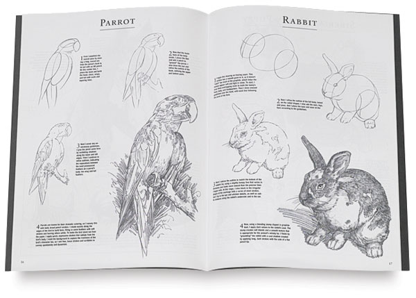 Drawing Pets