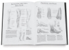 Basic Anatomy