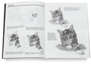 Drawing Baby Animals