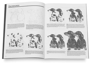 Drawing Dogs & Cats