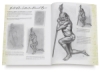 Drawing the Figure