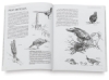 Wildlife Painting Step by Step
