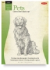 Drawing Pets