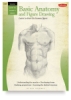 Basic Anatomy