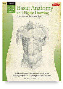 Basic Anatomy
