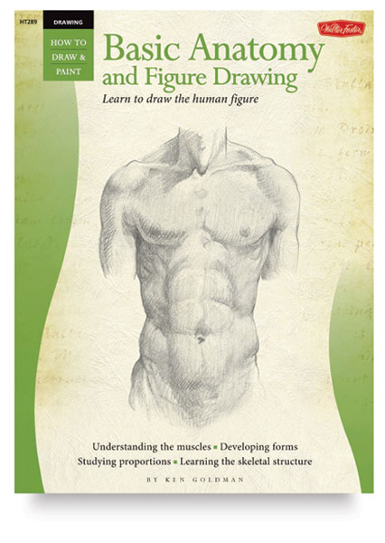 Basic Anatomy