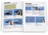 The Acrylic Painter’s Book of Styles and Techniques