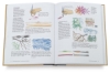 Watercolorist's Essential Notebook
