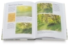 Landscapes