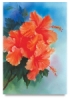 Hibiscus Cluster
