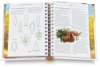 The Oil Artist's Handbook
