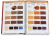 Color Mixing Recipes for Portraits
