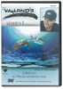 Series 1, Set of 3 DVDs