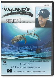Series 1, Set of 3 DVDs