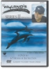 Series 2, Set of 3 DVDs