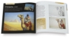 Three Color Painting: Create Wonderful Art Using Only Three Colors