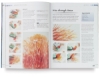 Wonderful Ways with Wax: Encaustic Art for Craft Projects