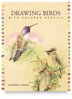 Drawing Birds with Colored Pencils