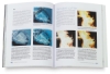 Colored Pencil Painting Bible