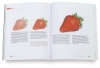 Colored Pencil Painting Bible