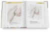 The Ultimate Guide to Colored Pencil
