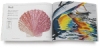 Creating Textures in Colored Pencil, 15th Anniversary Edition