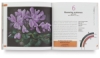 The Pastel Colour Wheel Book