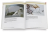 The Complete Colored Pencil Book
