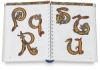 Celtic Alphabets: With Borders and Motifs