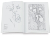 Botanical Illustration Course