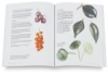 Botanical Illustration Course