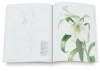 Botanical Illustration Course
