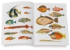 Fanciful Fish