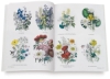 Ladies' Flower Garden