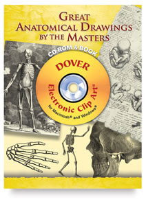 Great Anatomical Drawings by the Masters