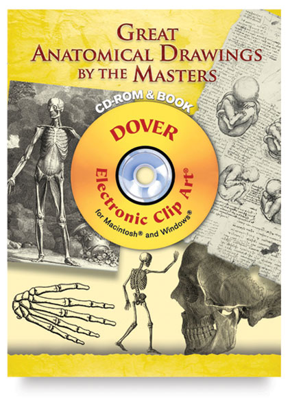 Great Anatomical Drawings by the Masters