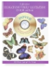 Decorative Butterfly Illustrations