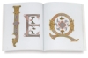 Letters and Alphabets