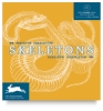 Skeletons