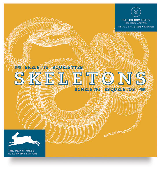 Skeletons